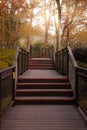 Wooden pathway in autumn Royalty Free Stock Photo