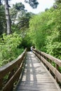 wooden pathway bridge for hikers on a park