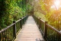 Wooden pathway or wooden bridge among the tree in tropical forest with sunset background, concept the way of success, sunmoon lake