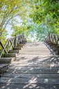 Wooden pathway in deep green forest lake. Beautiful wooden path trail for nature trekking Royalty Free Stock Photo