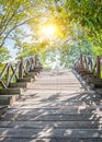 Wooden pathway in deep green forest lake. Beautiful wooden path trail for nature trekking Royalty Free Stock Photo