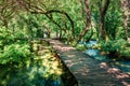 Wooden pathway in the deep green forest. Picturesque summer scene of Krka National Park, Croatia, Europe. Beautiful world of