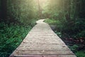 Wooden pathway through forest woods in the morning. Summer nature travel and journey concept Royalty Free Stock Photo