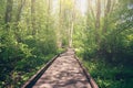 Wooden pathway through forest woods in the morning. Summer nature travel and journey concept Royalty Free Stock Photo