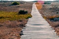 Wooden pathway leading into the distance towards sunset Royalty Free Stock Photo