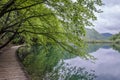 Wooden pathway near big lake, Plitvice Lakes National Park, Croatia