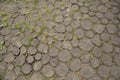 wooden pathway paved with vintage natural wood planks