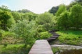 Wooden pathway surrounded by trees and water in Pyunggang Botanical Garden in Pocheon, South Korea