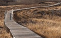 Wooden pathway thru the sand dunes