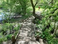 Wooden pathway among trees in Central Park Royalty Free Stock Photo