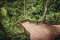 Wooden pathway with viewpoint in a dense green forest. Jungle path over the treetops. Monkey forest in Ubud, Bali, Indonesia Royalty Free Stock Photo