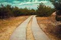 Wooden pathways in the park