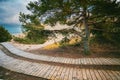 Wooden pathways in the park