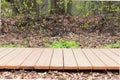 Wooden pavement in a park