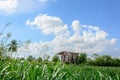 Wooden pavilion surrounding by paddy field