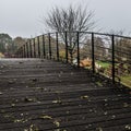 wooden pedestrian bowed bridge and bare trees during a foggy autumn day in the Stuyvenberg city park, Brussels Royalty Free Stock Photo