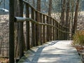 Wooden pedestrian footpath in the bog, bare trees in spring Royalty Free Stock Photo