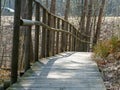 Wooden pedestrian footpath in the bog, bare trees in spring Royalty Free Stock Photo