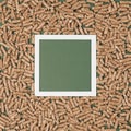 Wooden pellet with square frame on a green background.