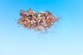 Wooden pencil shavings and colorful crumbs of graphite from sharpener on soft pastel paper background. Top view. Design elements f Royalty Free Stock Photo