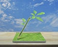 Green ecology idea concept Royalty Free Stock Photo