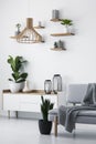 Wooden pendant light, simple shelves on a white wall and a plant