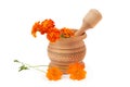 Wooden pestle and mortar on white background Royalty Free Stock Photo