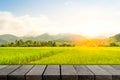 Wooden photo frame on paddy farm background