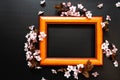 Wooden photo frame and sprigs of apricot flowers