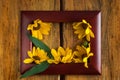 Wooden photo frame with yellow flowers on a brown wood background. Hello autumn concept Royalty Free Stock Photo
