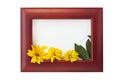 Wooden photo frame with yellow flowers on a white background. Hello autumn concept Royalty Free Stock Photo