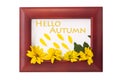 Wooden photo frame with yellow flowers on a white background. Hello autumn concept Royalty Free Stock Photo