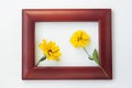 Wooden photo frame with yellow flowers on a white background. Hello autumn concept Royalty Free Stock Photo