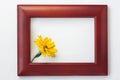 Wooden photo frame with yellow flowers on a white background. Hello autumn concept Royalty Free Stock Photo