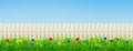 Wooden picket fence, flowers and green grass Royalty Free Stock Photo