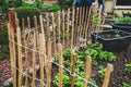 A wooden picket fence in the garden Royalty Free Stock Photo