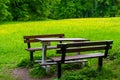 Wooden picnic bench on a green and yellow flowerbed in Zamecky Park, in Hluboka Castle, Hluboka nad Vltavou Czech Republic Royalty Free Stock Photo