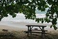 Wooden picnic branch on the sand beach placed in shade under huge branches of tropical tree Royalty Free Stock Photo