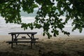 Wooden picnic branch on the sea shore placed in shade under huge branches of tropical tree Royalty Free Stock Photo