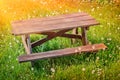 Wooden picnic place on summer green field Royalty Free Stock Photo