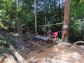 Wooden picnic table and benches surrounded by trees in rainforest mountain. A place to relax for people hiking in tropical forest