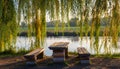 Wooden Picnic Table and Benches Under a Weeping Willow by a River image photo Royalty Free Stock Photo