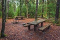 Wooden picnic table with fallen leaves in the forest Royalty Free Stock Photo