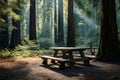 A wooden picnic table in a redwood forest Royalty Free Stock Photo