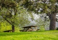 Wooden picnic tables under trees in a scenic park in summer Royalty Free Stock Photo