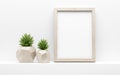 Picture frame mock up and green potted plants on white shelf. 3d illustration