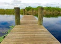 A wooden pier at a boat launch site in florida Royalty Free Stock Photo