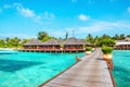 Wooden pier and exotic bungalow on the background of a sandy beach with tall palm trees, Maldives