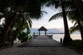 Wooden pier extending into the ocean with lush palm trees around and thatched bungalow at the end, Maldives