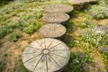 Wooden pier, flower